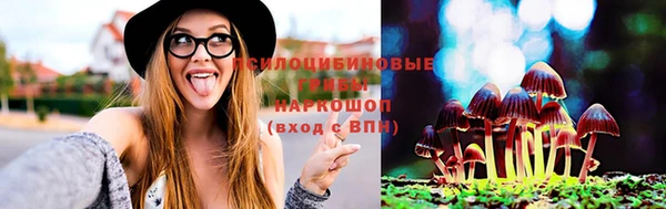 ПСИЛОЦИБИНОВЫЕ ГРИБЫ Краснотурьинск