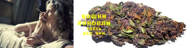 spice Краснослободск