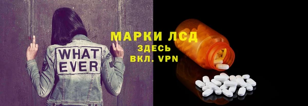 ПСИЛОЦИБИНОВЫЕ ГРИБЫ Краснотурьинск