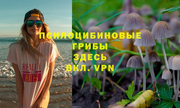 дживик Красноперекопск
