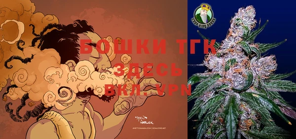 spice Краснослободск