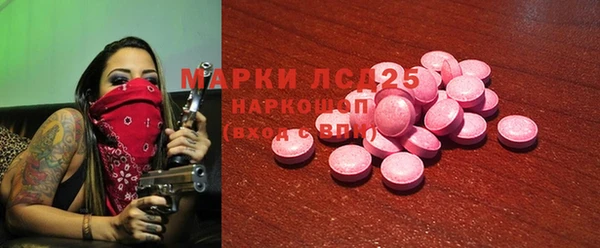 ПСИЛОЦИБИНОВЫЕ ГРИБЫ Краснотурьинск